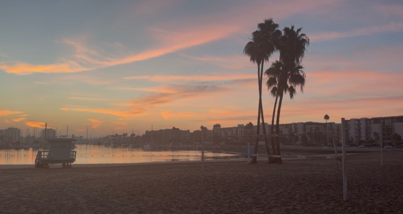 Stunning sunset over a calm beach with silhouetted palm trees and colorful pink and orange sky reflections.