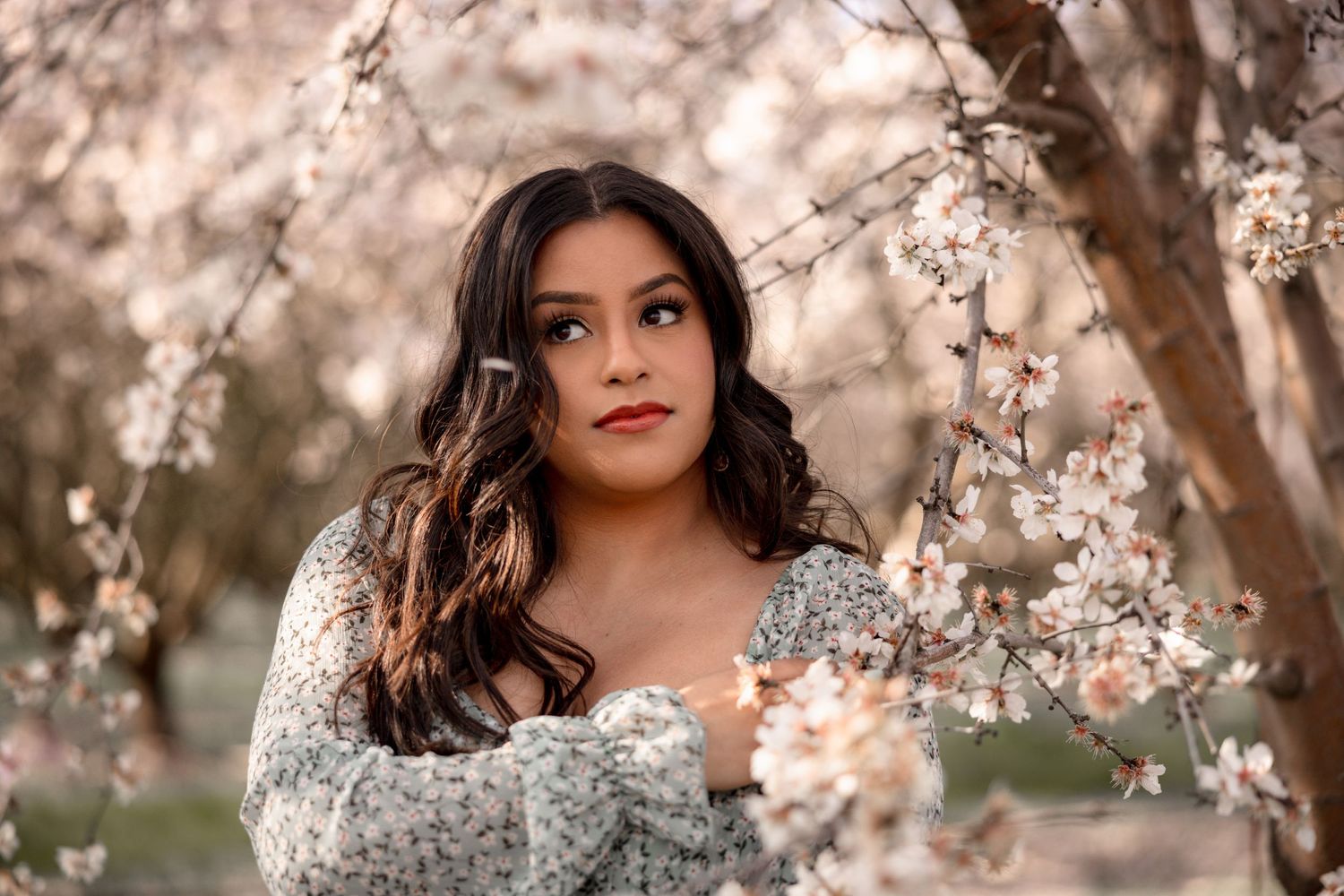 A woman in a white sweater poses among blooming cherry blossom branches during golden hour.