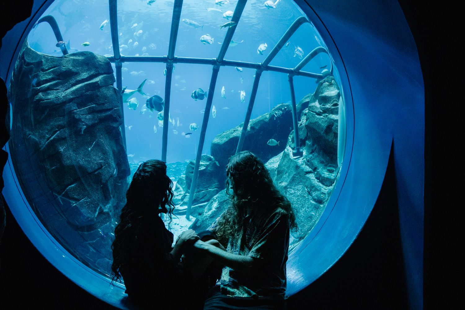 Couple's Aquarium Adventure Photography Session | K Murphy Photos | Roanoke Virginia