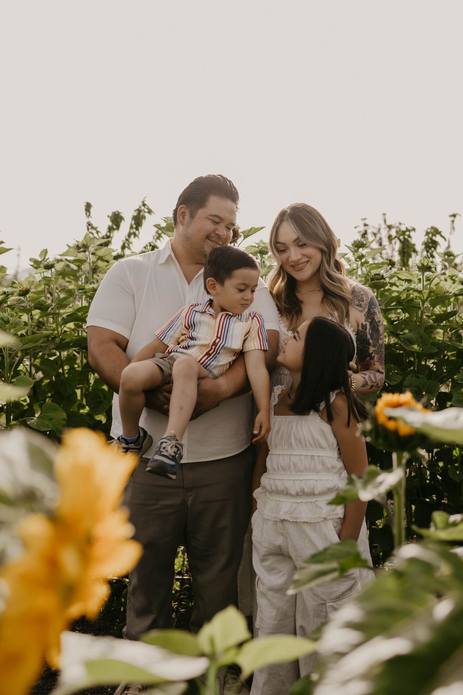 Family stands together in warm sunlight among tall sunflowers on a dirt path during golden hour.