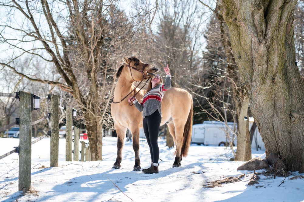 Ryleigh & Carlton - Winter Horse & Rider Session - Madeline Ball ...