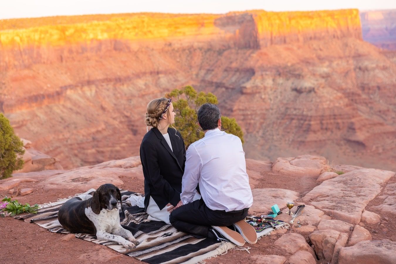 how to elope with dogs