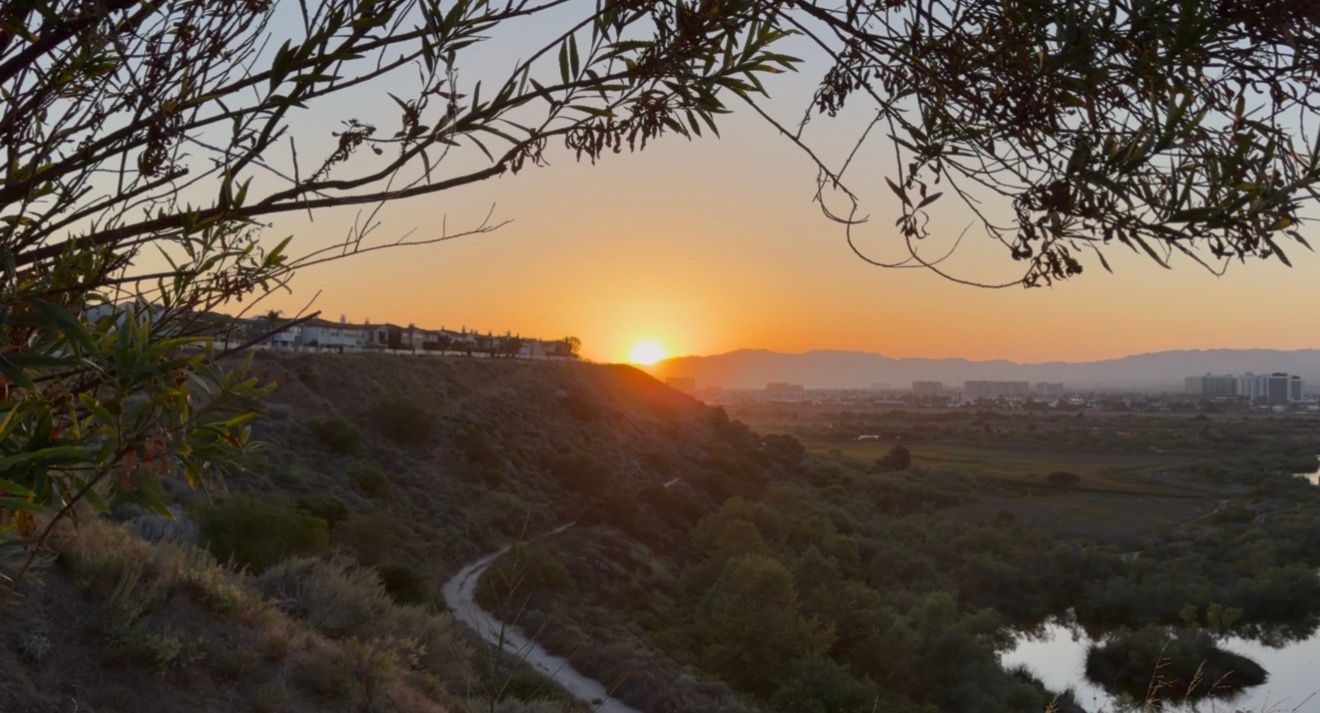 Scenic sunset over a winding river path through lush green hills, with olive tree branches framing the golden horizon.