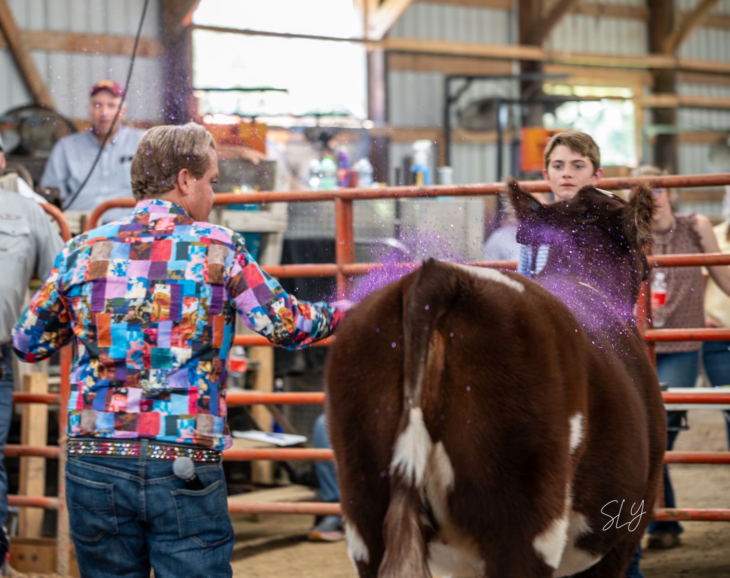 Judge Ryan Rash selects the 2026 Supreme Champion Female with his signature glitter slap at the Minnesota Regional Summer Classic.