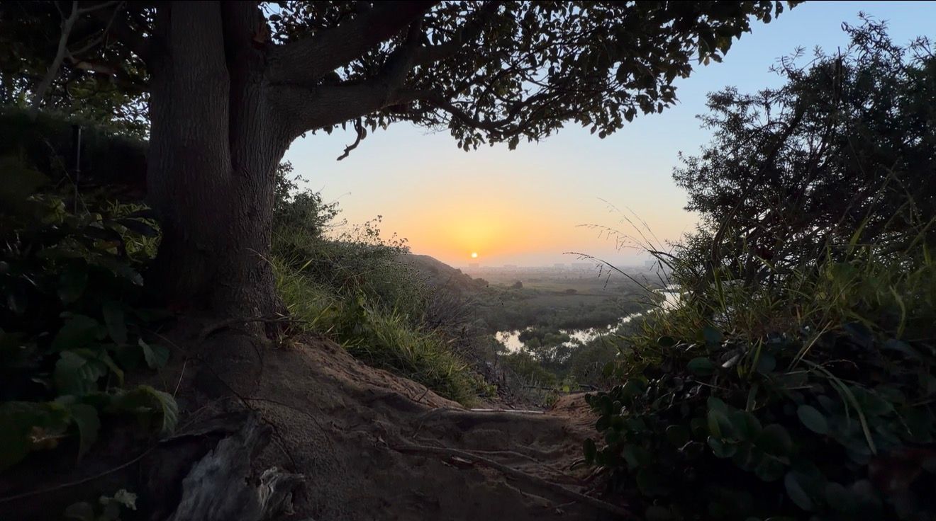 Sunset viewed through lush tropical trees framing a scenic valley landscape with golden light on the horizon.