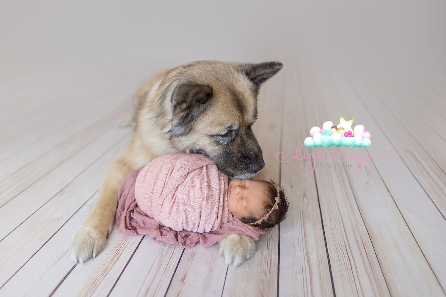 German Shepherd dog gently nuzzling a sleeping newborn baby wrapped in pink on a wooden floor.
