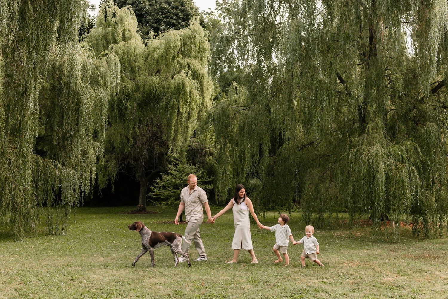 Family photo session with two children and a dog walking hand-in-hand on green grass beneath weeping willow trees.