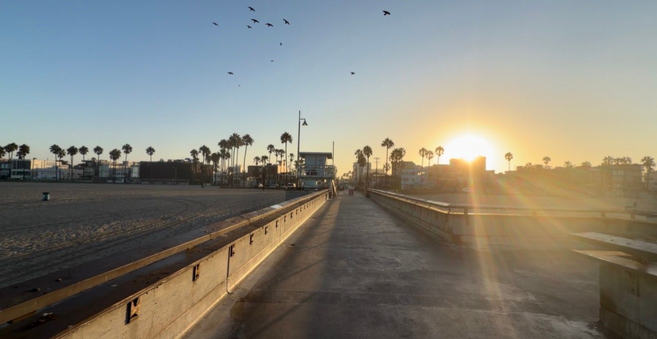 Golden sunset over Venice Beach boardwalk with palm trees, birds in sky, and warm sunlight casting long shadows.