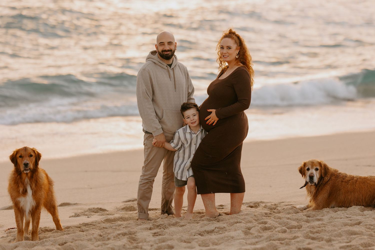 Pregnant woman and man with young boy and two golden retrievers pose for maternity photo on sandy beach.