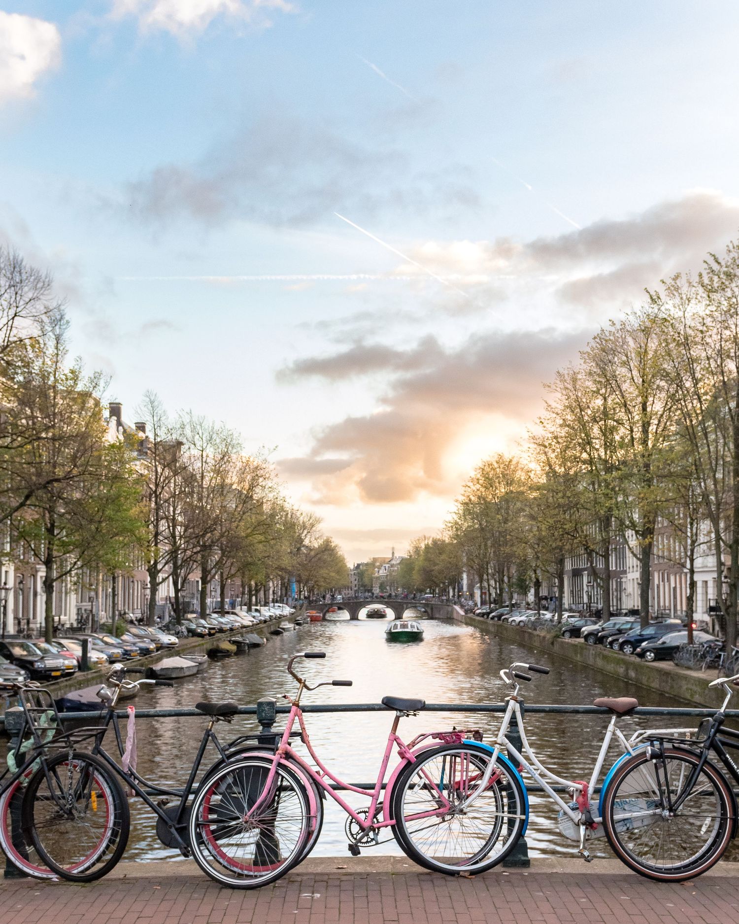 Row of bicycles parked along an Amsterdam canal during golden hour with autumn trees lining the water.