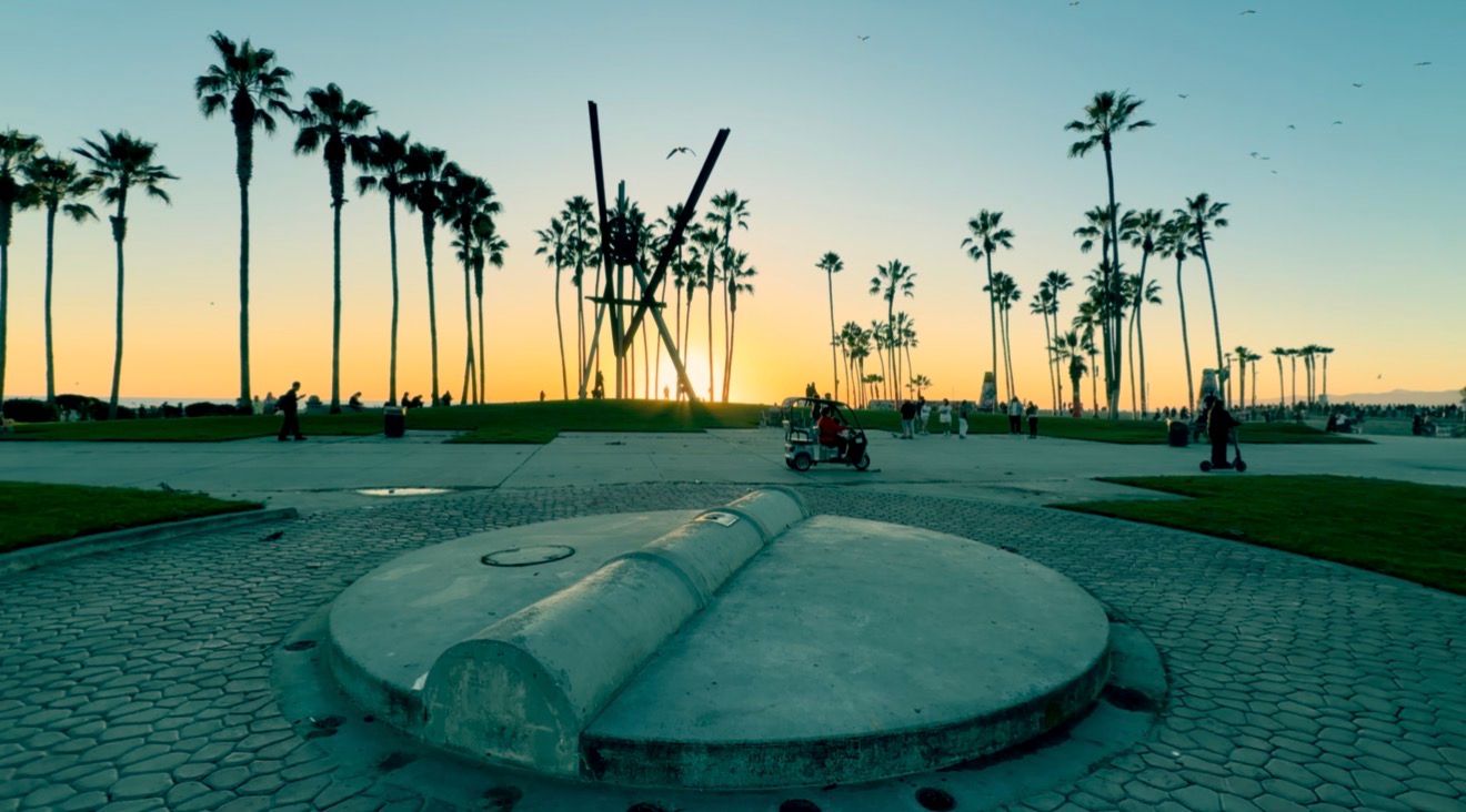 Silhouetted palm trees line the beach at sunset with a skate park ramp in the foreground.