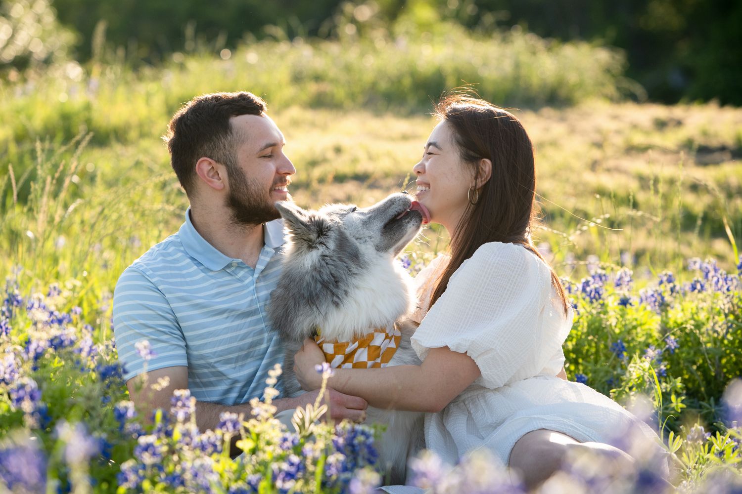 A couple sits together in a blooming wildflower meadow during a sunny summer afternoon.