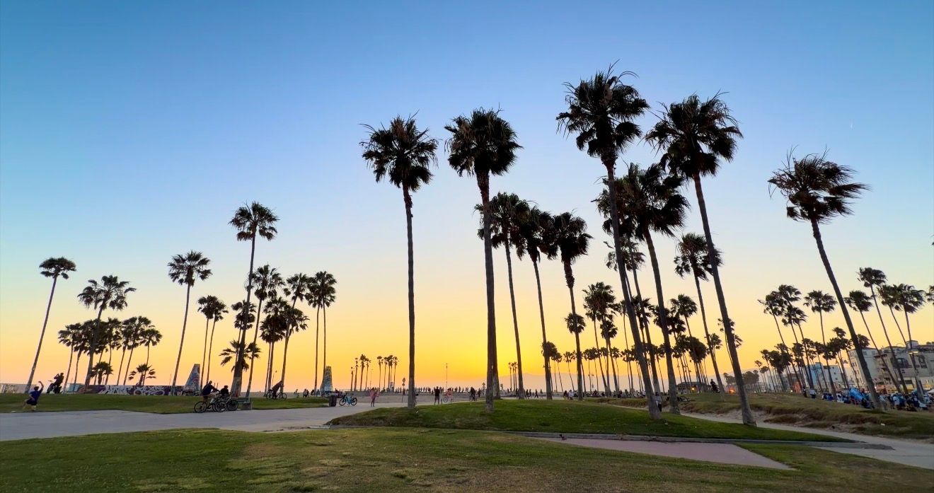 Silhouetted tall palm trees against a vibrant golden sunset sky at Venice Beach, Los Angeles, California.