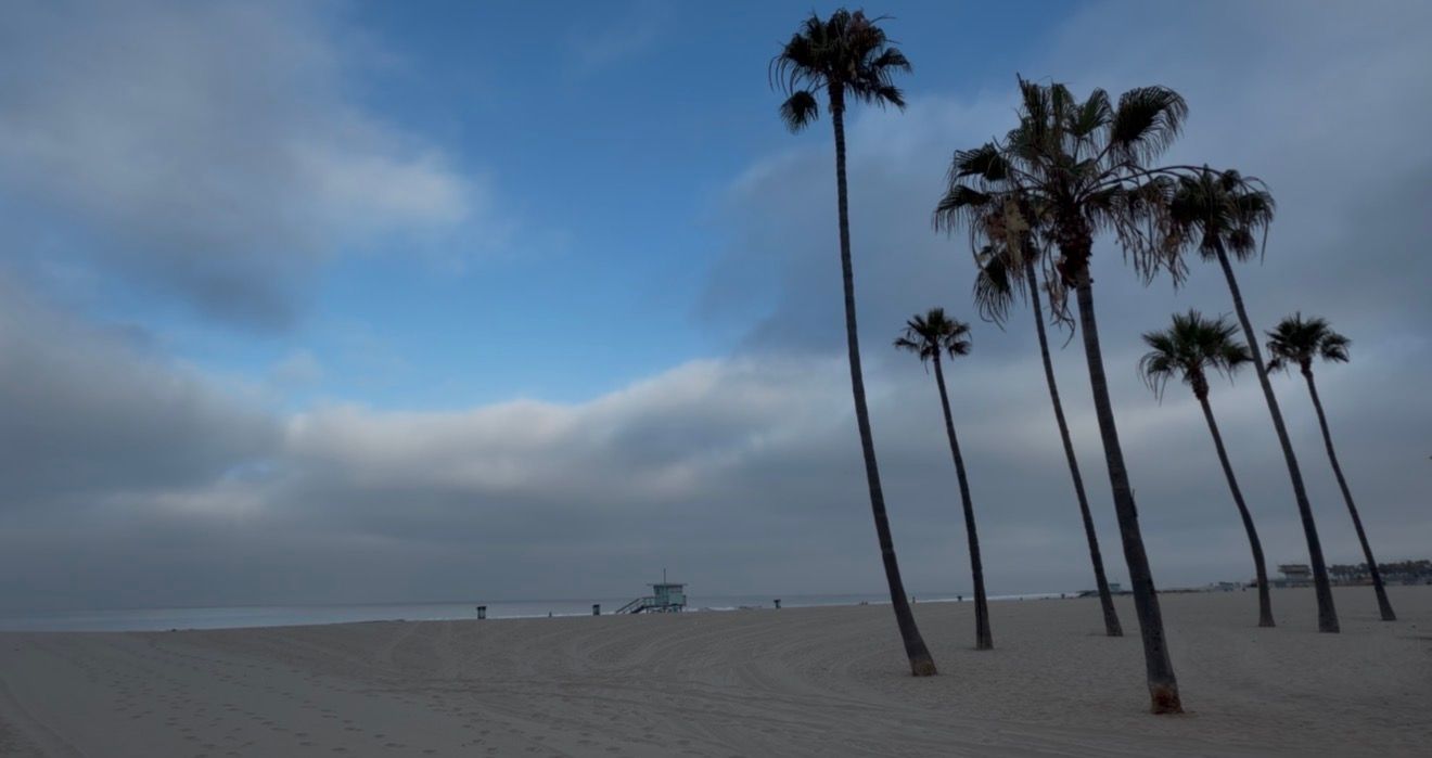 Tall palm trees silhouetted against a cloudy blue sky on a sandy beach with a lifeguard tower in the distance.