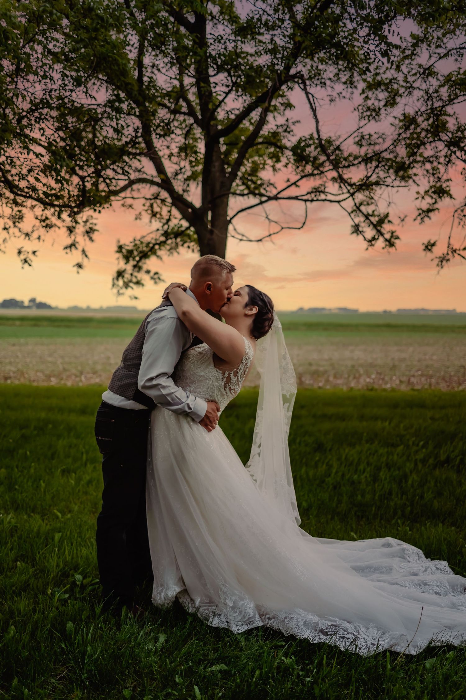 Bride and groom share a romantic kiss under a large tree at sunset, with a scenic green field backdrop.