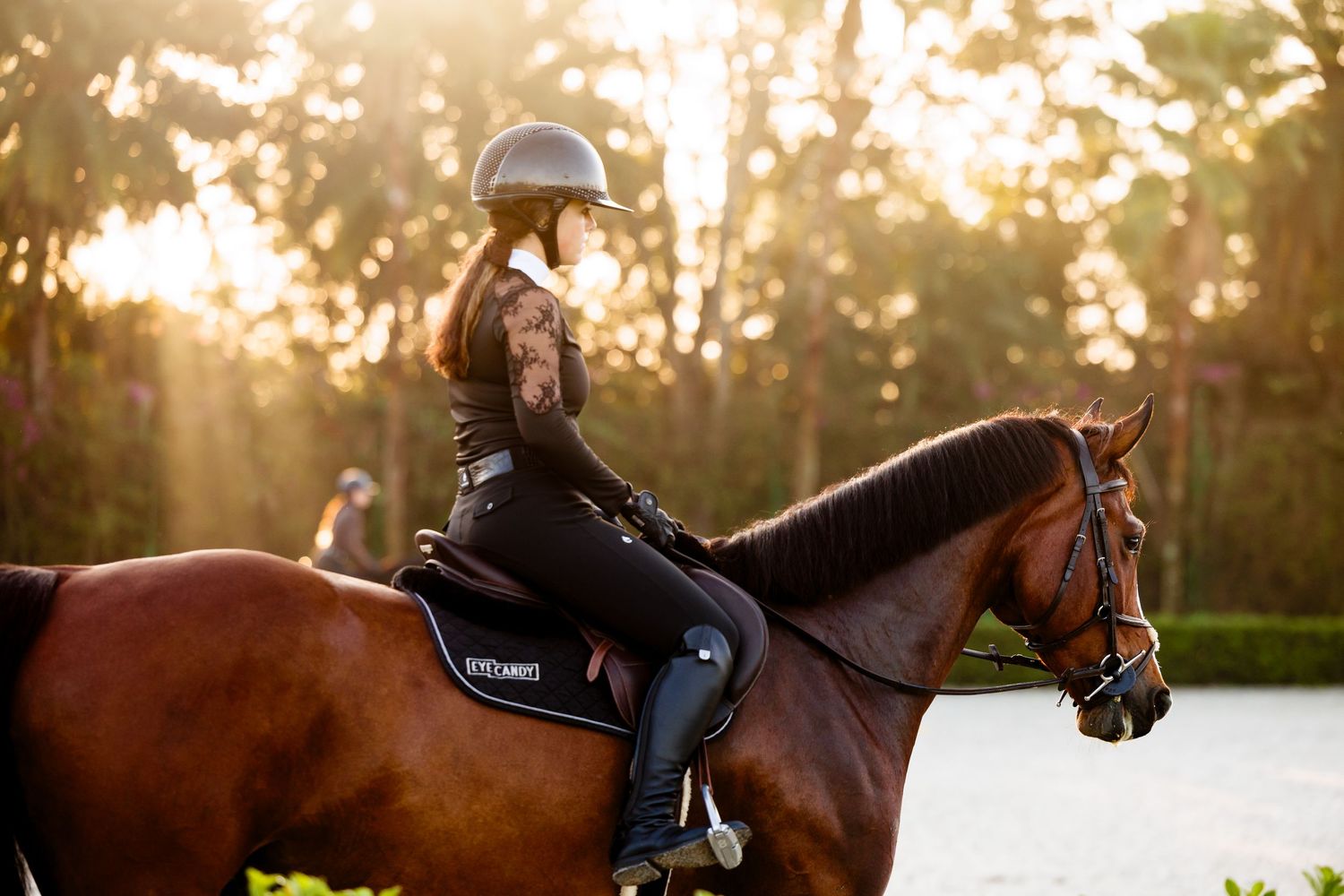 Equestrian rider in black helmet and outfit on a bay horse during golden hour in a lush outdoor arena.