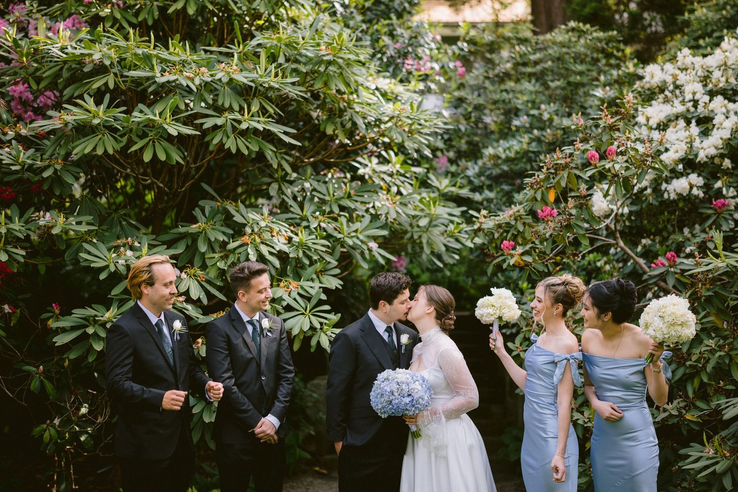 Wedding party laughing outdoors among lush rhododendron bushes, bride in white gown with blue bouquet, groomsmen in black suits.