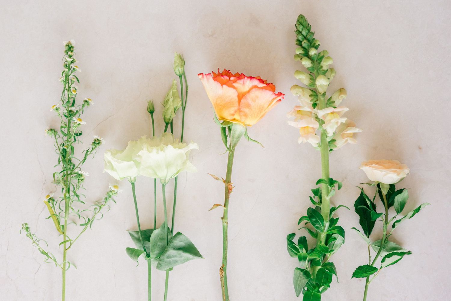 Flat lay of assorted fresh flowers including a peach rose, white lisianthus, snapdragons, and greenery on a light background.