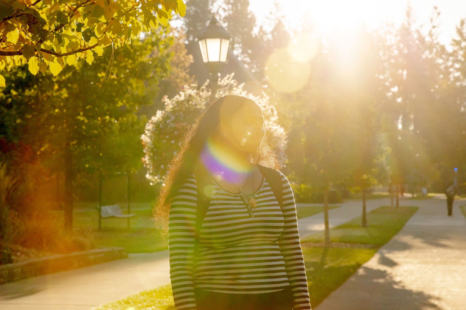 Person walking on a tree-lined path during golden sunset hour with sun flare and shadows creating a peaceful scene.