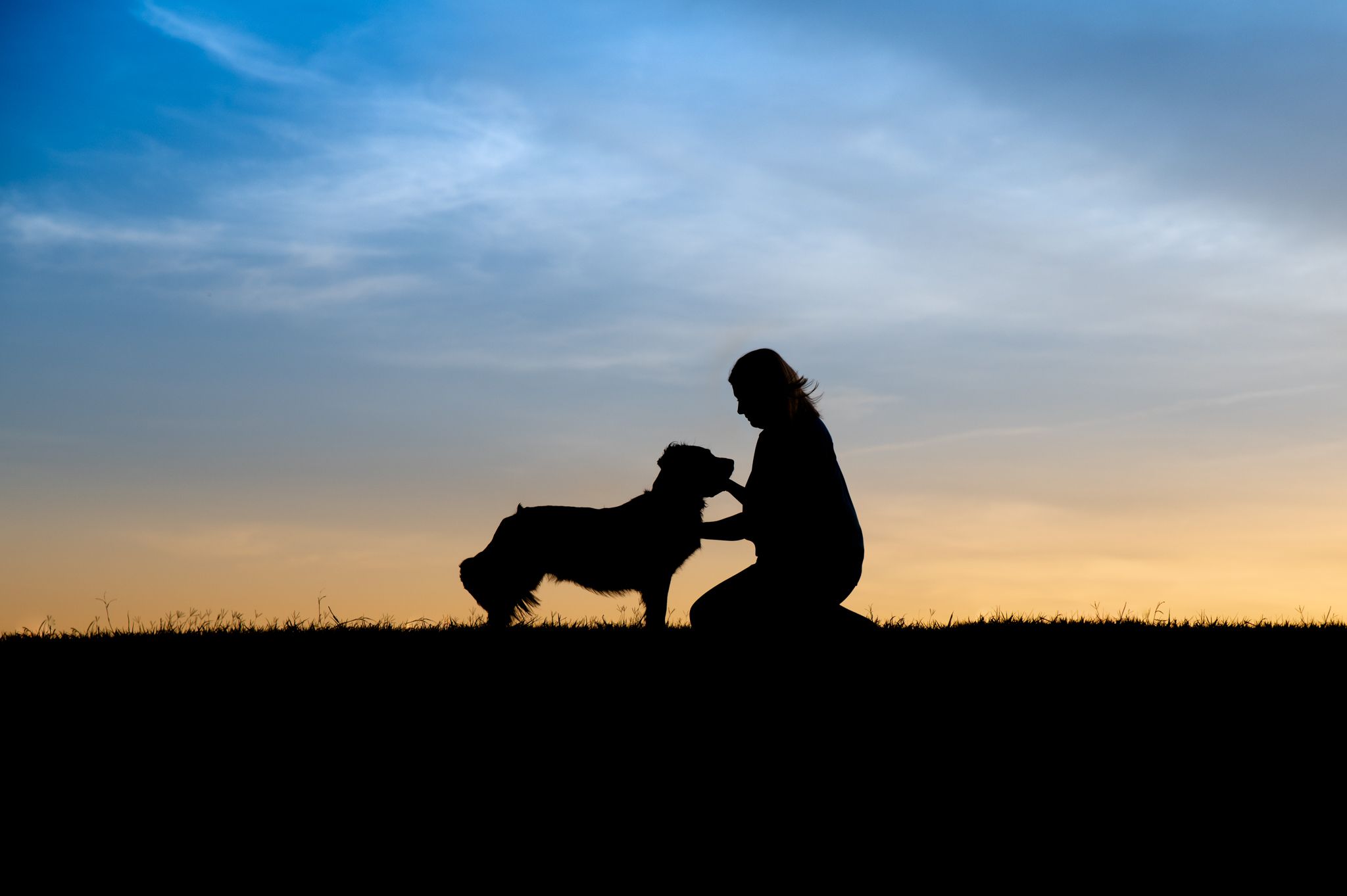Silhouette of a person kneeling and bonding with a dog at sunset on a grassy hill.