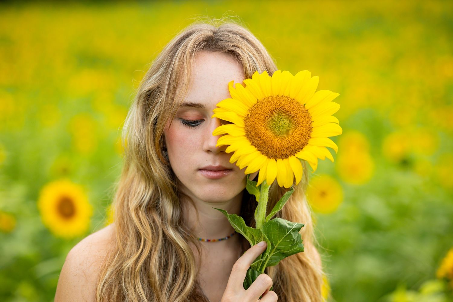 Young blonde woman holding a bright sunflower over her face in a vibrant yellow sunflower field.
