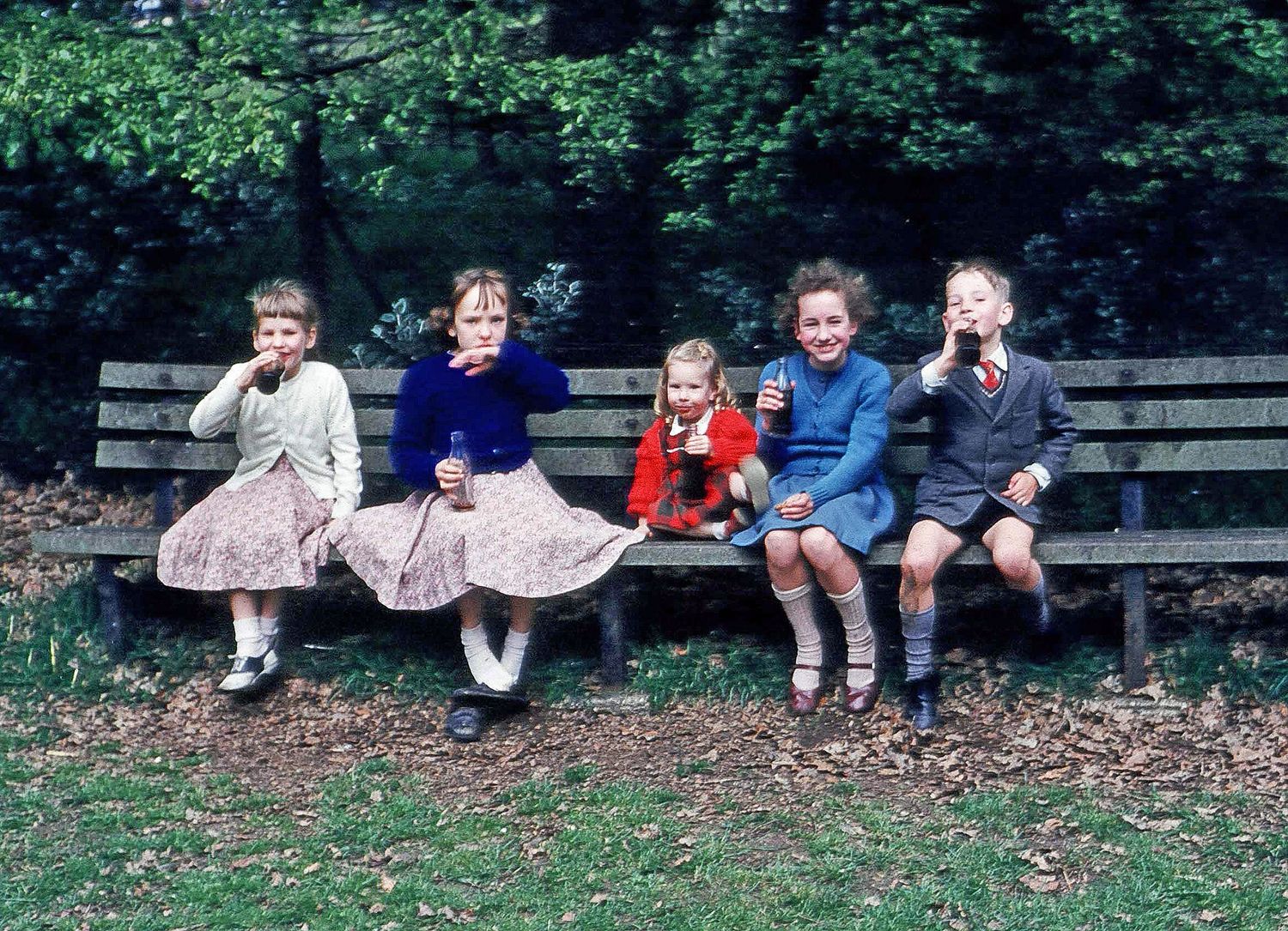 Children sit together on a wooden park bench surrounded by lush greenery.