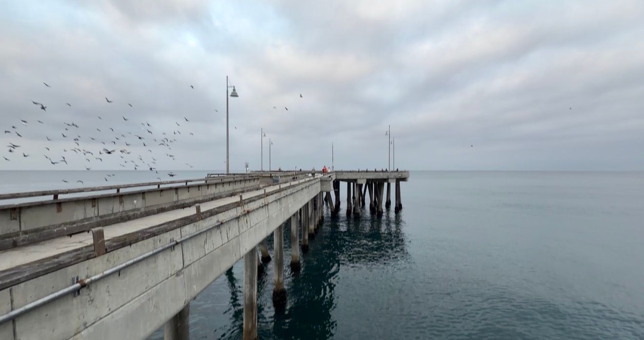 A flock of birds flies over a long concrete pier extending into calm blue ocean waters under an overcast sky.