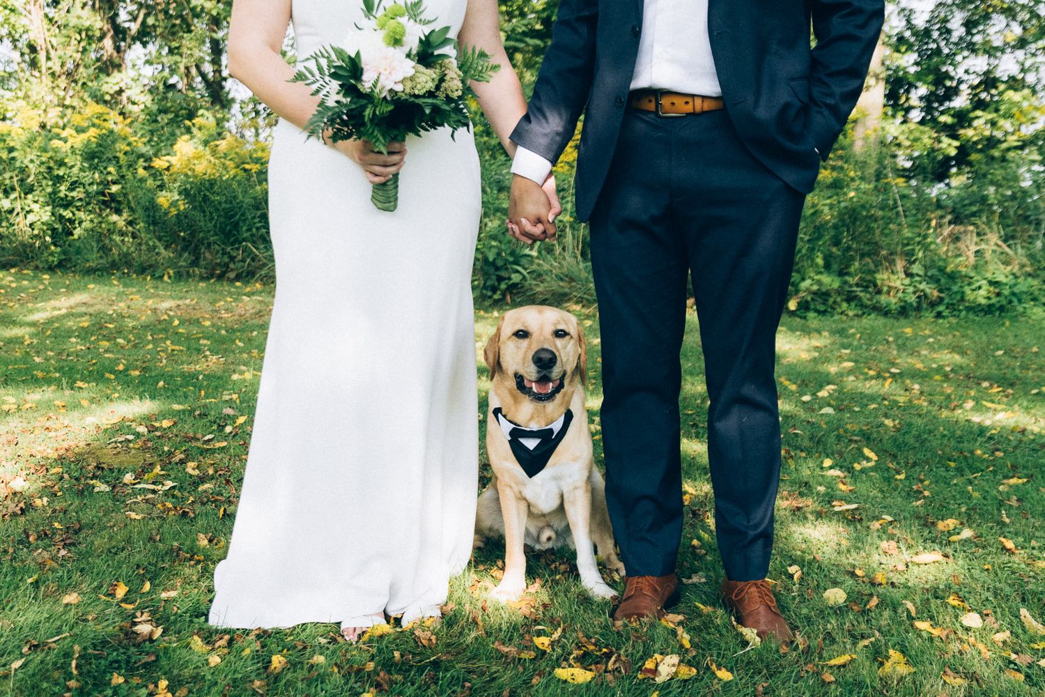 Wedding couple holding hands with their yellow lab dog in formal attire outdoors.