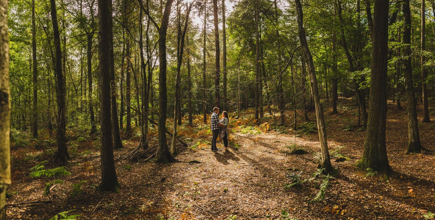 Wide landscape shot of couple on forest trail with golden sunlight filtering through trees.