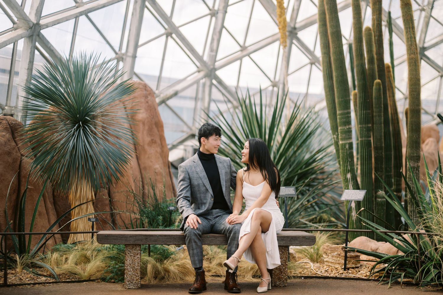 A couple sits together on a bench inside a greenhouse filled with desert plants, bamboo stalks and yuccas.