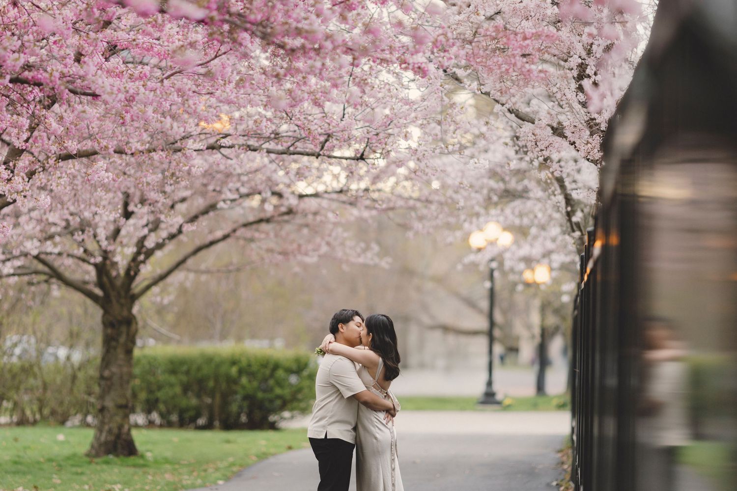 cherry blossom engagement photoshoot in Toronto