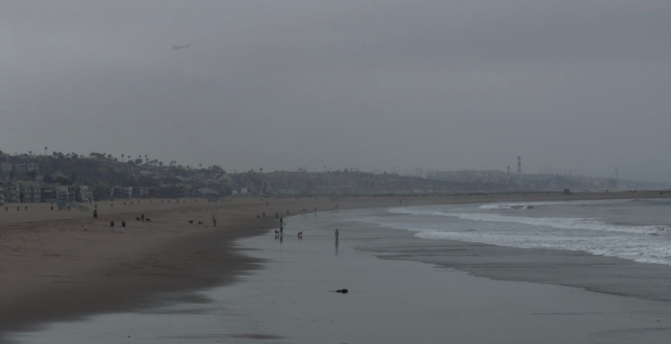 Overcast beach scene with calm waves, sandy shore, and distant city skyline on a foggy gray day.