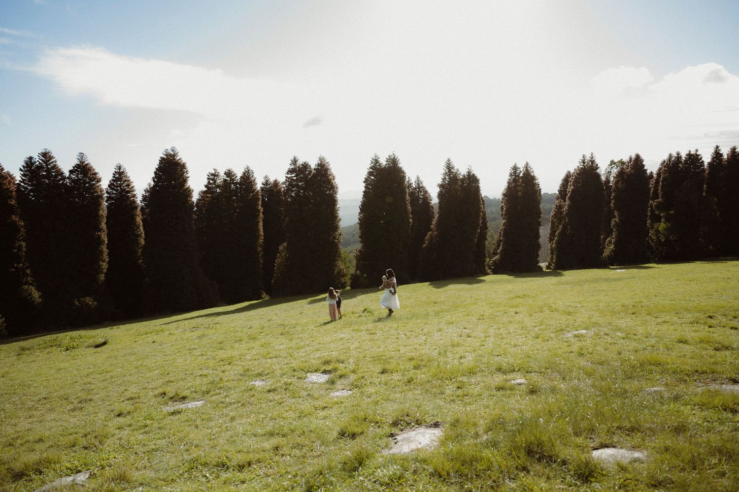 Two people walking on a lush green hillside meadow with tall evergreen trees and soft sunlight in the background.