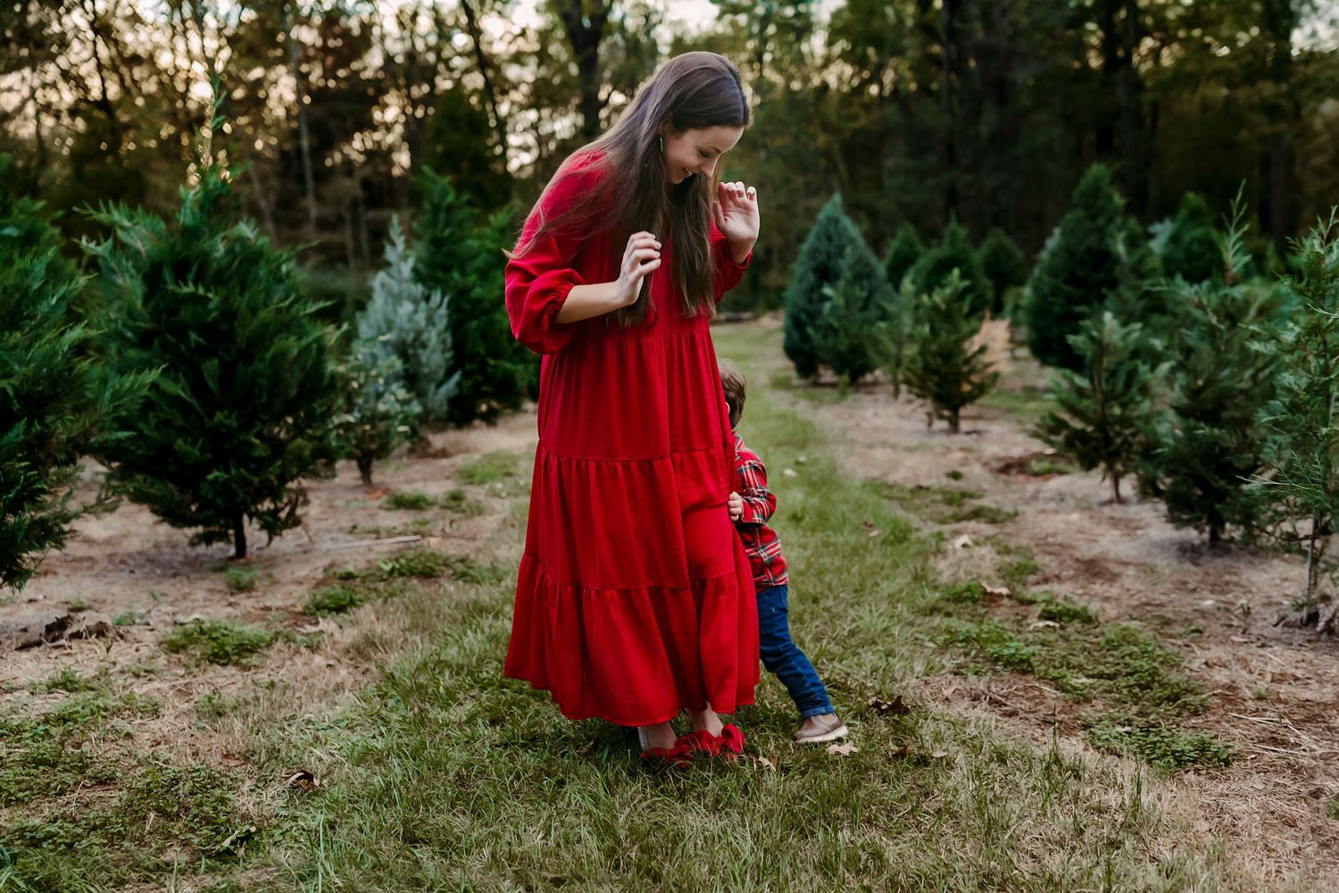 Classic red Radio Flyer wagon sits among evergreen trees at a Christmas tree farm.