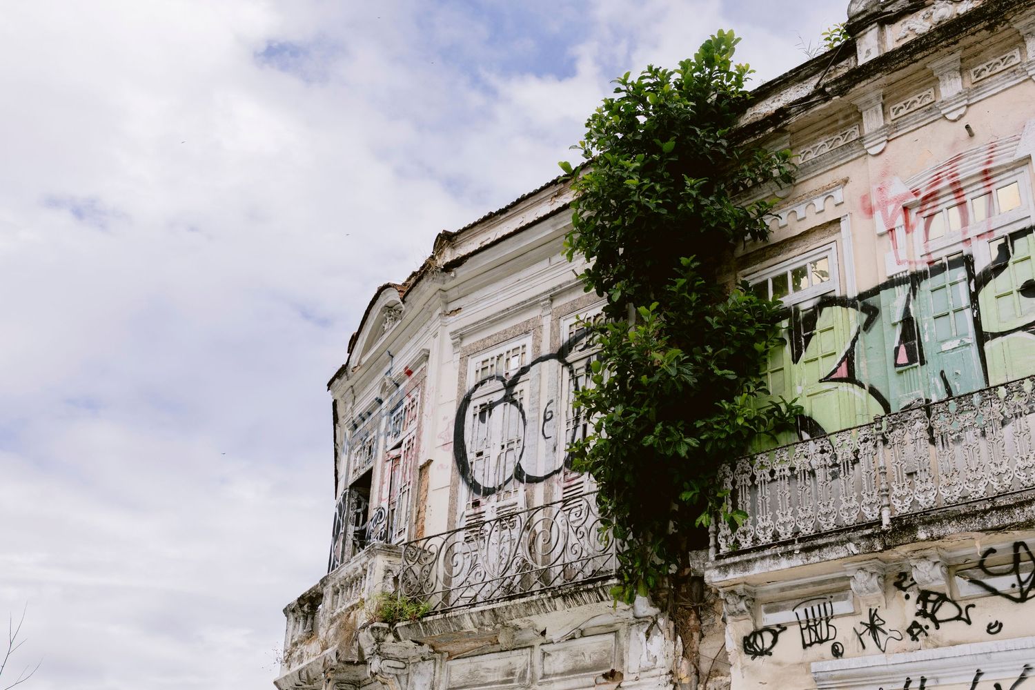 Abandoned building covered in colorful graffiti with a tree growing through the facade.