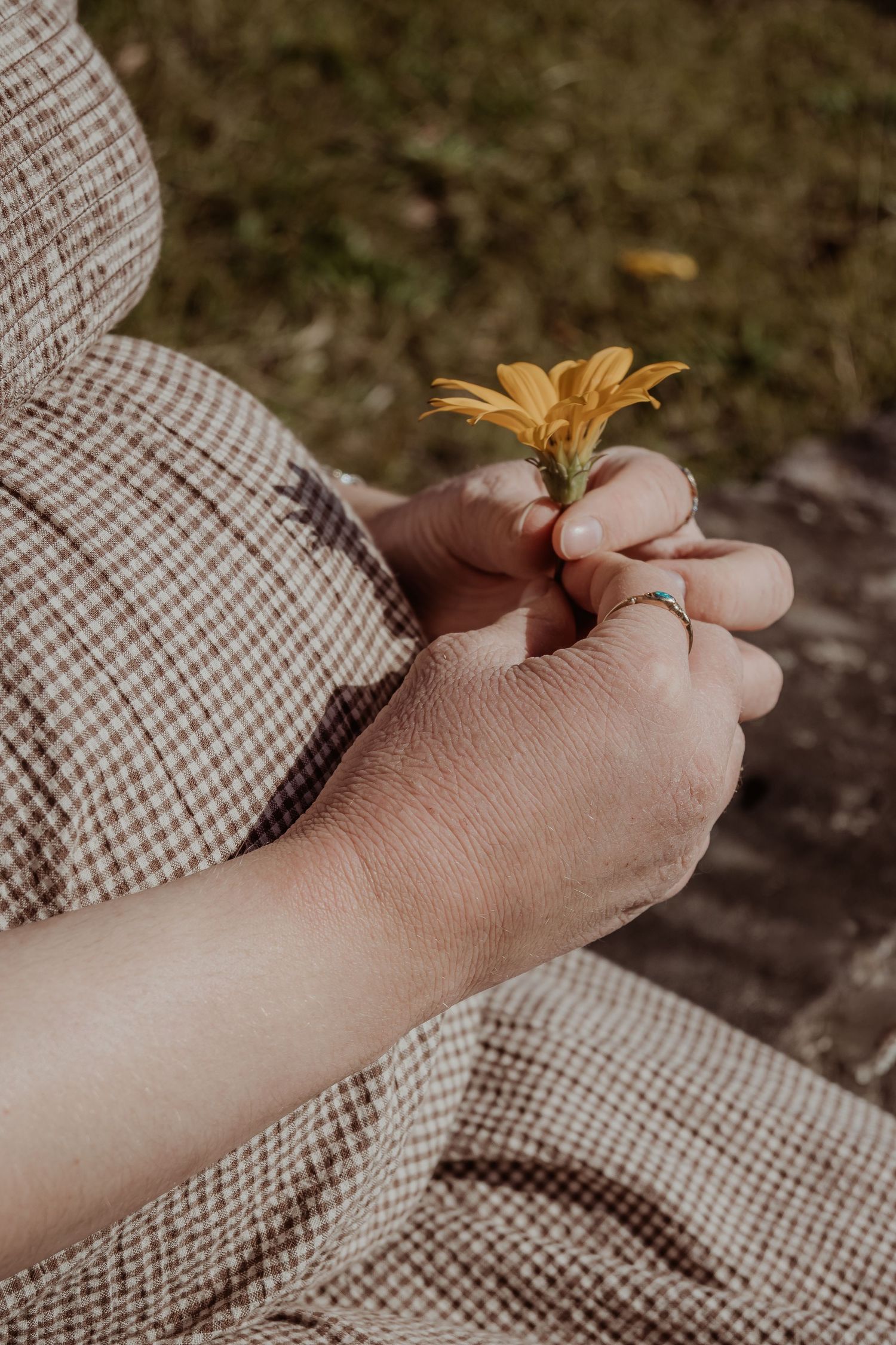 Hands gently hold a delicate yellow flower while wearing a gingham patterned dress outdoors.