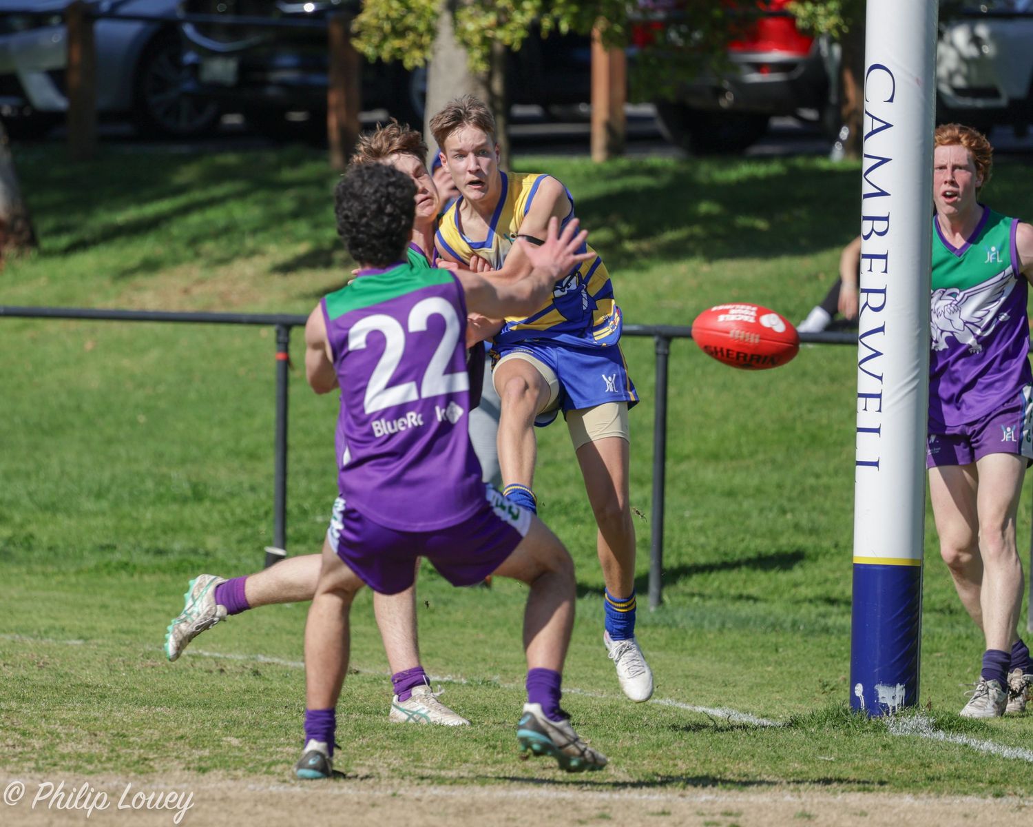 Junior Football AFL