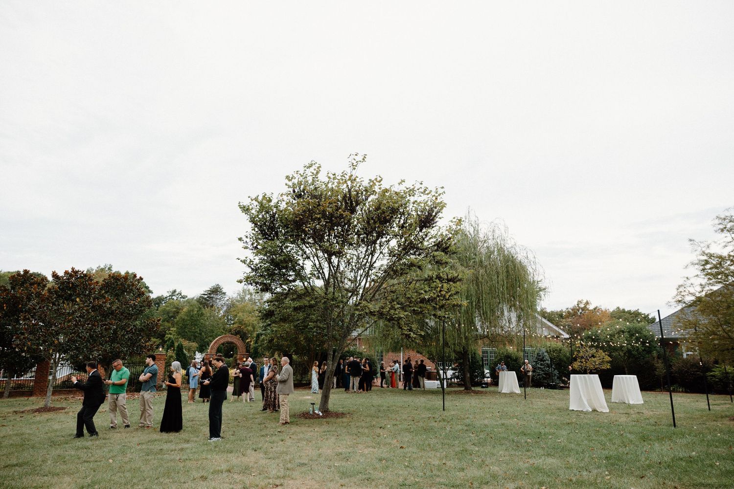 Wedding guests gather outdoors under a weeping willow tree during a garden reception celebration.