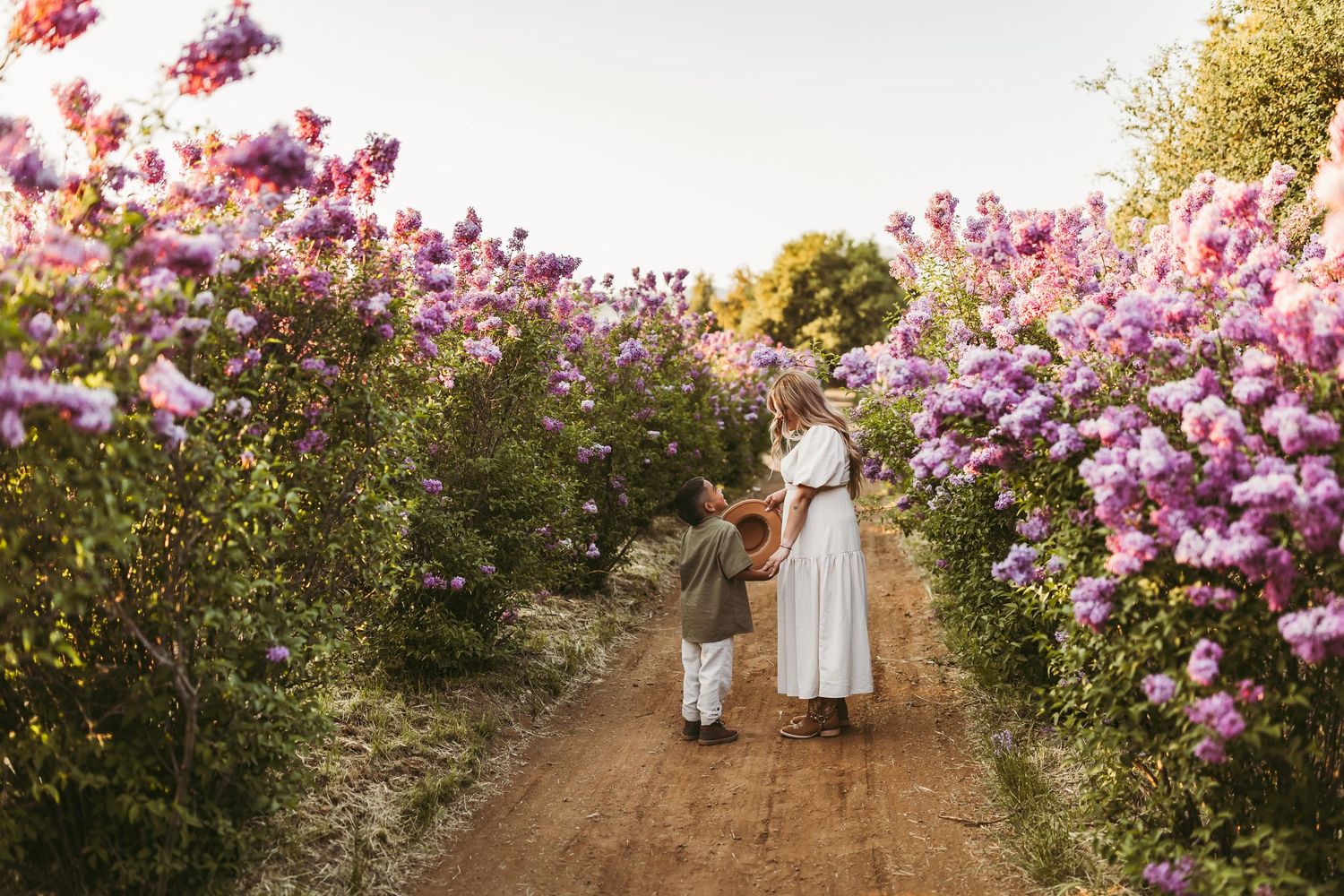 People walk along a garden path surrounded by blooming pink cherry blossom trees on a sunny spring day.