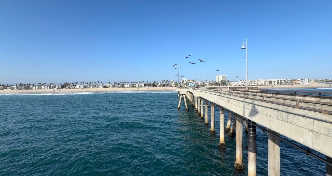 Scenic ocean pier extending toward a sunny coastline with birds flying overhead and clear blue skies in California.