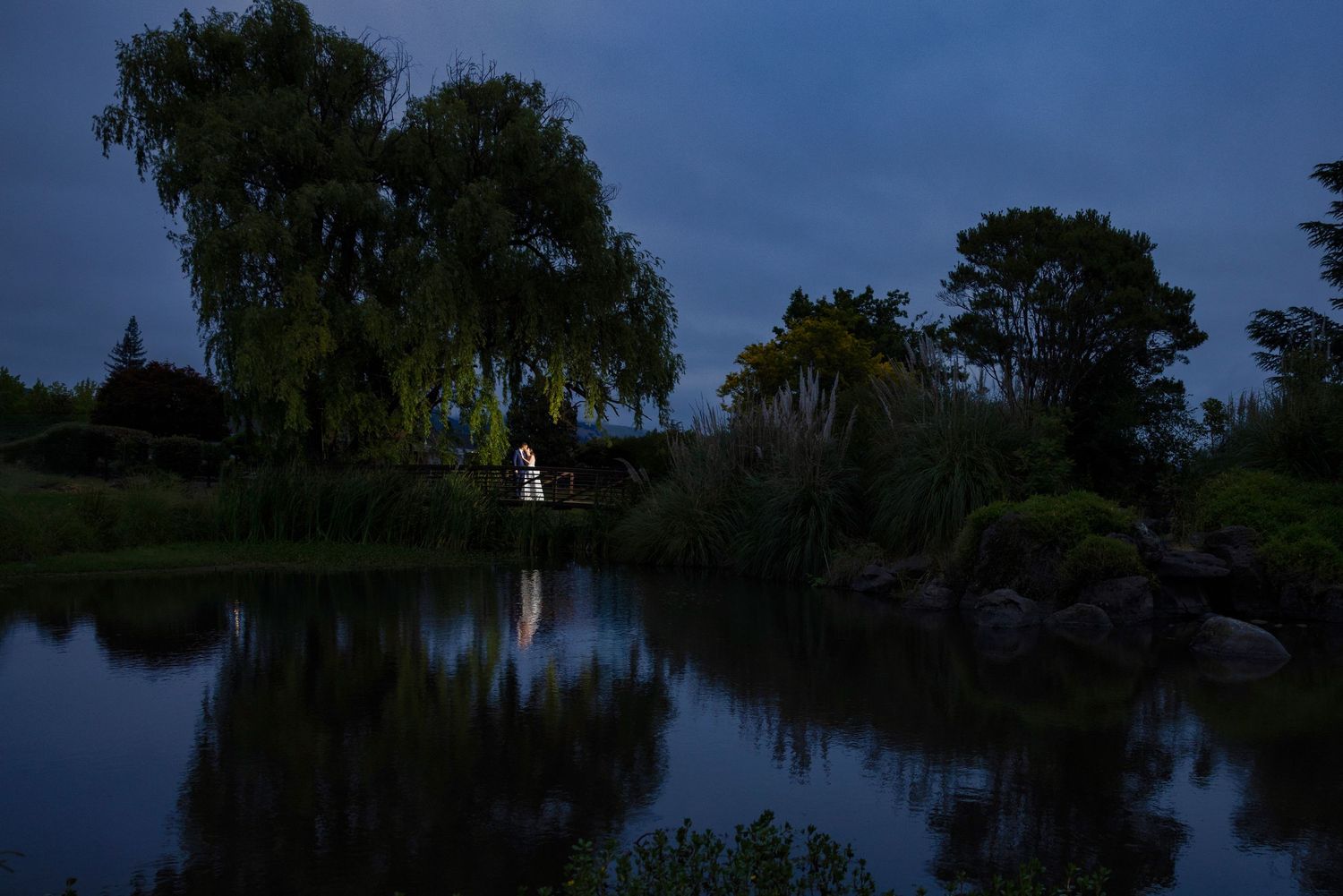 Twilight reflection of a glowing white figure by a serene pond surrounded by weeping willows and lush trees.