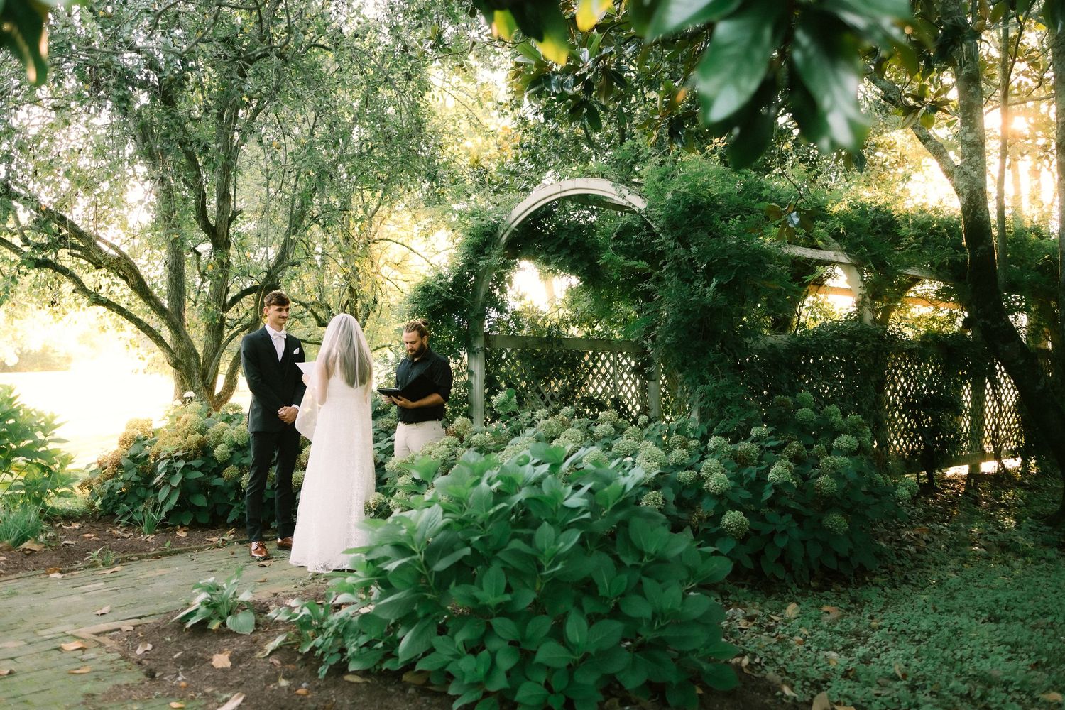A scenic forest path with dappled sunlight filtering through lush green foliage and tall trees.