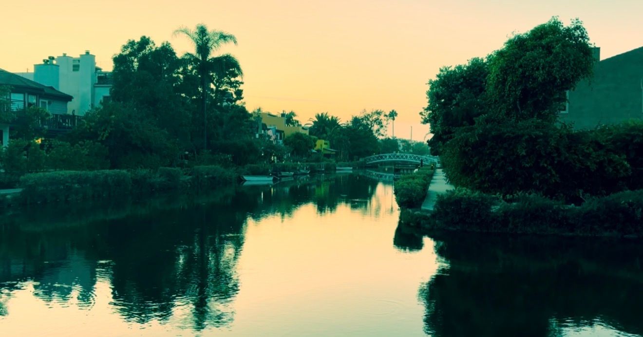 Serene canal at sunset with lush green trees reflecting on calm water, bridge in background, golden hour glow.