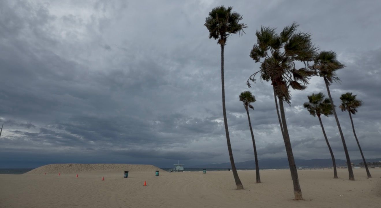 Tall palm trees sway on an empty sandy beach under a dark, stormy sky with heavy gray clouds rolling in over the ocean.