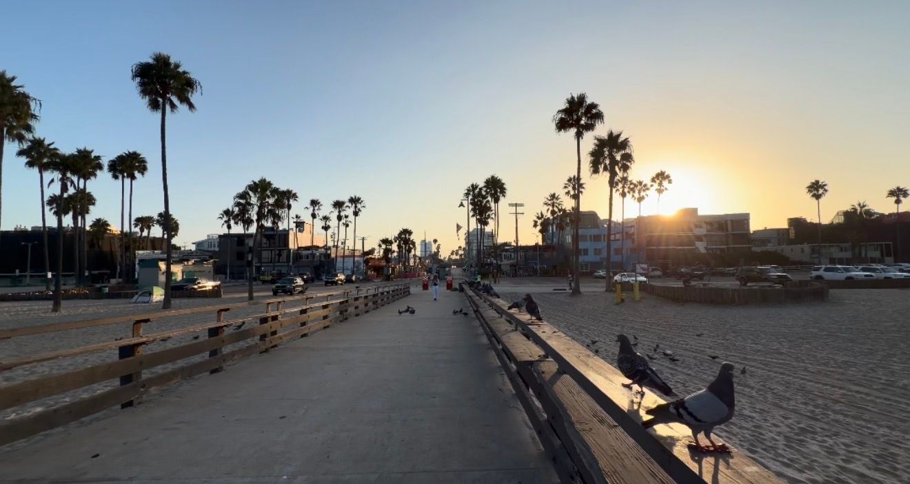 Sunset over Venice Beach boardwalk with tall palm trees, benches, and golden light casting long shadows on a quiet evening.