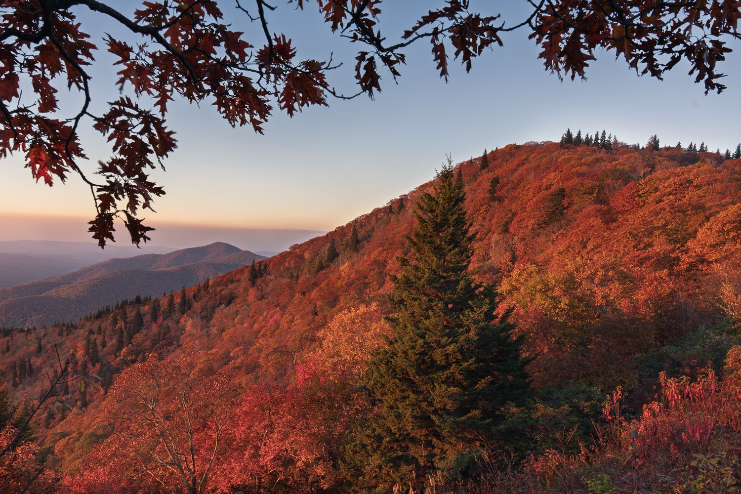 Autumn mountain landscape with vibrant red and orange foliage covering hillsides at sunset in the Smoky Mountains.