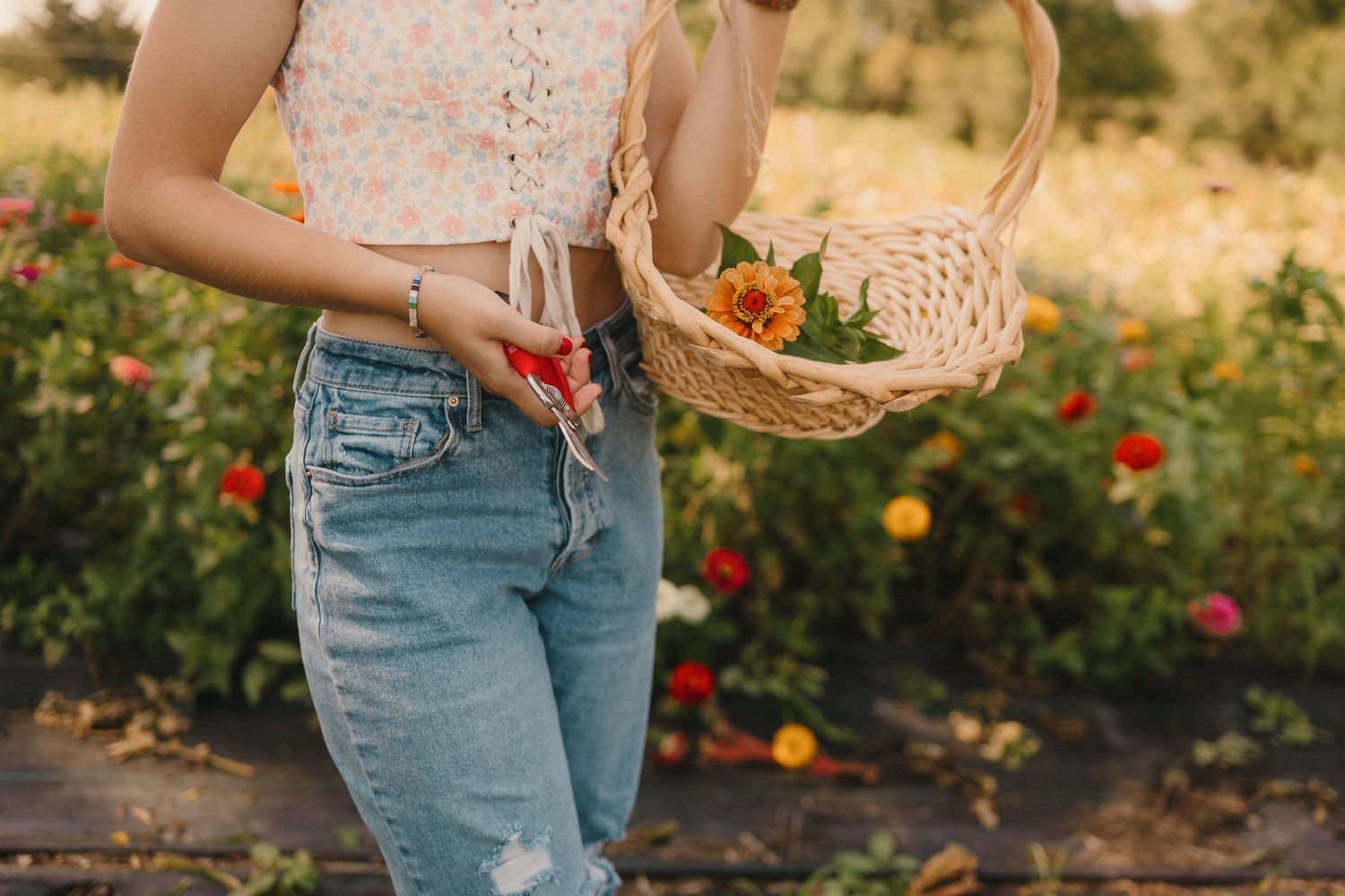 Someone wearing a floral top and jeans holds a woven basket in a garden with red and orange flowers blooming nearby.