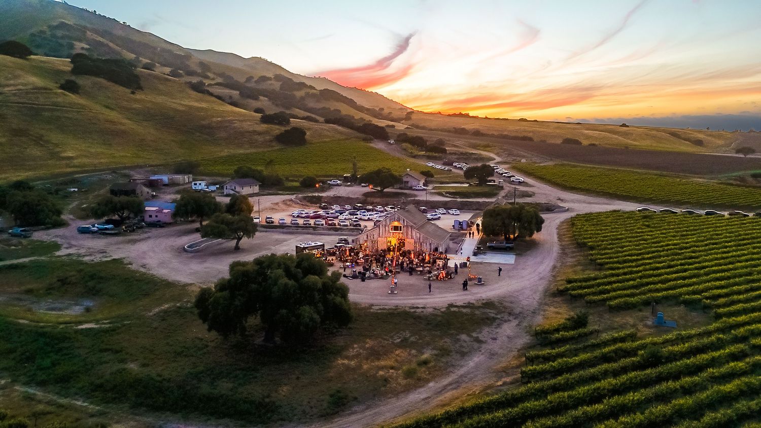 California Vineyard Wedding - Rustique Wines