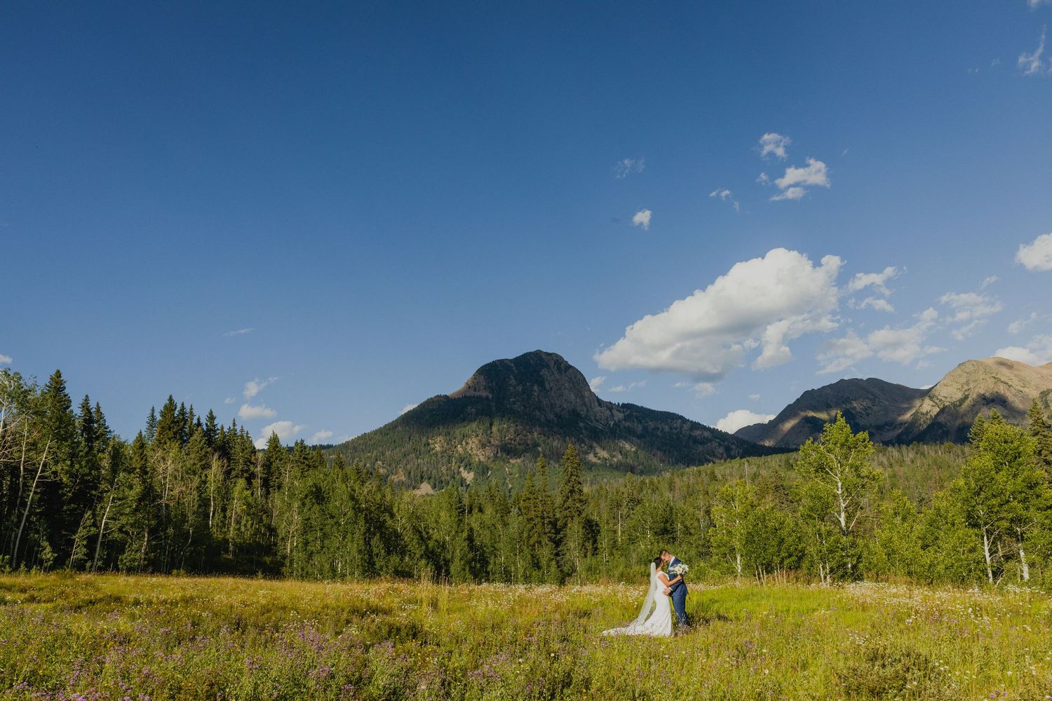 Beautiful mountain landscape with grassy meadow and evergreen forest in the summertime under blue skies and white clouds.