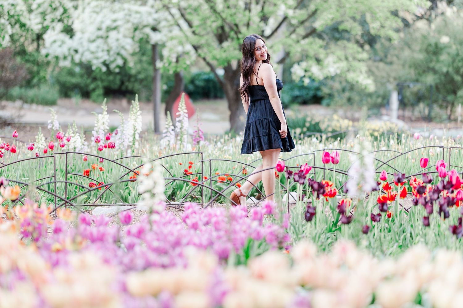 A high school senior in a black dress stands amid vibrant pink and red flowers blooming at Descanso gardens.